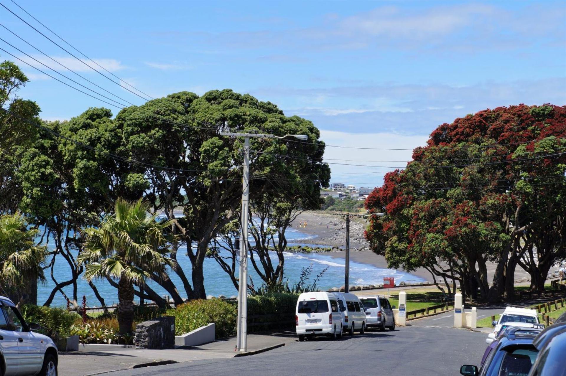 The Buller Bungalow You Will Fall In Love New Plymouth Ngoại thất bức ảnh